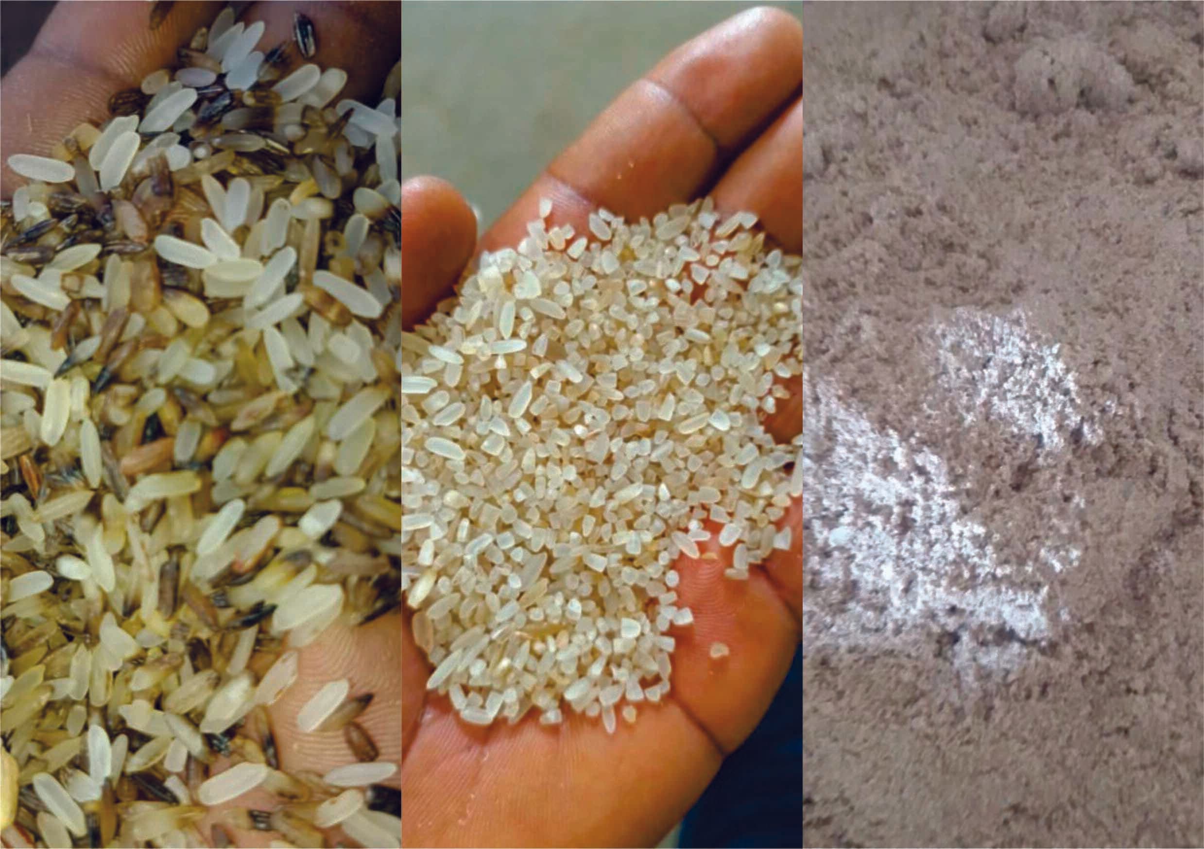 Rice By-Products Processing